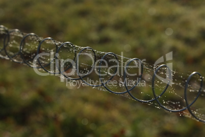 Metal spring with cobwebs and dew drops