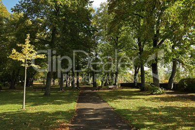 Landscape. Early autumn in the city park.