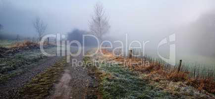 Nature. Rural landscape. Foggy morning in December.