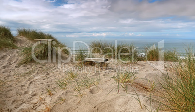 bench on the coastline