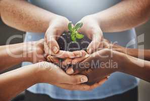 Growing a greener business. Shot of a group of hands holding a plant growing out of soil.