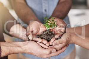 Committed to making their new business flourish. Cropped shot of a group of people holding a plant growing out of soil.