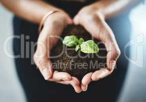 Take care to develop your dreams. Closeup shot of an unrecognizable businesswoman holding a plant growing out of soil.
