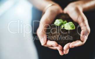 It will bloom soon. Closeup shot of an unrecognizable businesswoman holding a plant growing out of soil.