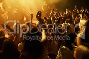 Shot of a crowd dancing at a rock concert. This concert was created for the sole purpose of this photo shoot, featuring 300 models and 3 live bands. All people in this shoot are model released.