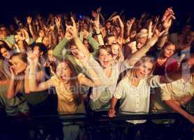 The best feeling. Cropped shot of a crowd at a music festival.