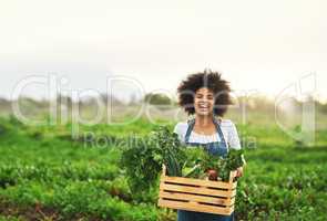 Mother nature provides. Cropped portrait of an attractive young female farmer carrying a crate of fresh produce.