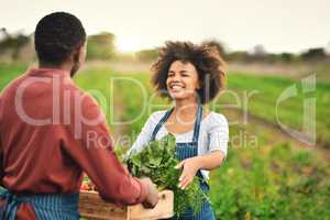 Here you go. Cropped shot of an attractive young female farmer passing a crate of fresh produce to her husband.