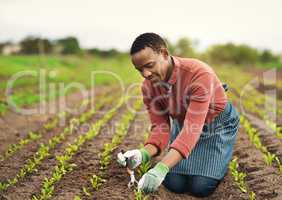 Taking care with every seed. Full length shot of a handsome young male farmer planting seeds in his vineyard.