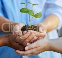 Nurturing growth. Cropped shot of unrecognizable people holding a young plant.