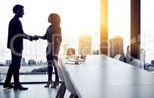 Partnering together to enhance the future of business. Shot of two businesspeople shaking hands in an office.