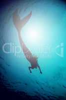 A silhouette shot of a mermaid swimming in solitude in the deep blue sea - ALL design on this image is created from scratch by Yuri Arcurs team of professionals for this particular photo shoot