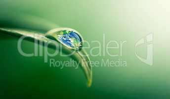 Water gives life. Closeup shot of a water droplet on a leaf.