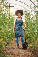 I put in the hard labour. Full length shot of an attractive young female farmer standing in a vineyard with a shovel.