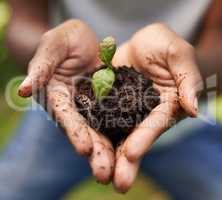 Hes got a nurturing touch. Cropped shot of a growing plant in a mans hands.