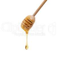 Dripping with bee juice. Shot of a honey dipper dripping delicious honey.