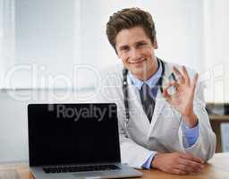 I give this my professional approval. Portrait of a young doctor giving his approval to a blank laptop screen.