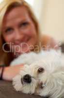 Pet therapy. A woman bonding with her Maltese poodle.