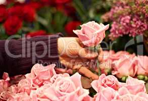 Carefully selected for maximum beauty. Cropped shop of a woman selecting a pink rose from a bunch.