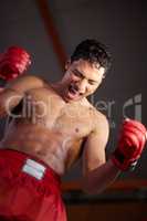 Enjoying the feeling of winning. A young fighter with his arms raised in victory after winning a fight.