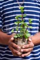 Hope of the world in the palm of my hands.. Cropped shot of a young man holding a pot plant.