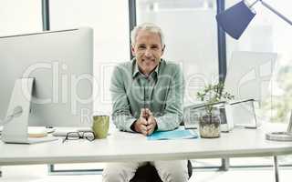 Im building upon my successes. Portrait of a mature businessman working at his desk in an office.