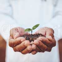 Let us help you nurture your wellbeing. Closeup shot of an unrecognizable doctor holding a plant growing out of soil.