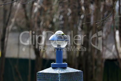 Lamp in the garden near the house