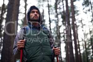 Surveying the wilderness. Shot of a handsome man hiking in a pine forest using nordic walking poles.
