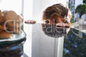 Just a bit too far.... A young boy eyeing the cookie jar on top of the kitchen counter.