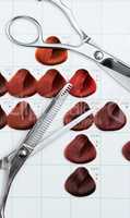 We have a variety of hair styles and colours. A hair colour chart depicting various reds and two pairs of scissors.