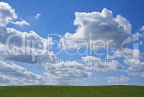 Green fields and blue skies. Nature photos from Denmark.