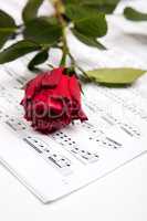 Beautiful music. Cropped shot of a red rose lying atop sheet music.