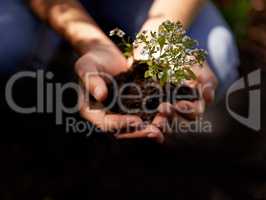 Keeping her fingers green. A young woman preparing to plant herbs.