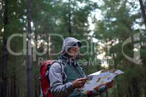 Finding my co-ordinates. Shot of a man in a pine forest with a map, figuring out his orientation.