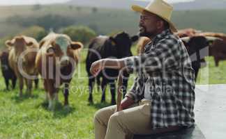 Have patience, you cant hurry the crops. Shot of a mature man working on a cow farm.