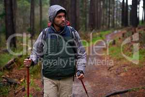 Keeping fit and enjoying nature. Shot of a handsome man hiking in a pine forest using nordic walking poles.