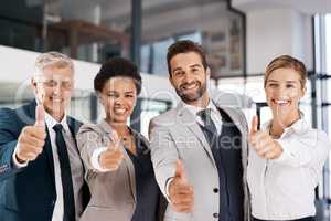 Wishing you all the best. Portrait of a group of businesspeople showing thumbs up in an office.