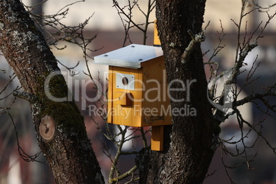 A wooden birdhouse hangs from a tree