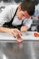 Perfection is in the details. A chef carefully preparing a gourmet meal.