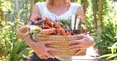 Chockfull of vitamins and minerals. A mature person holding a basket of freshly harvested vegetables.