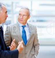Two senior executives conversing. Two senior business men having discussion indoors.