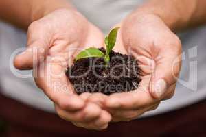 Nurturing new life. Cropped shot of a manamp039s hands holding a pile of soil with a budding plant.