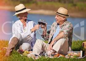 Heres to never ending romance. Shot of a happy senior couple enjoying a picnic outdoors.