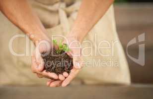 Fertile earth. Cropped shot of a man holding a small seedling in his cupped hands.