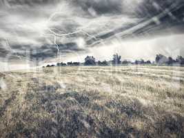Nature unleashes itself. Illustrated landscape of a field under a fierce storm.