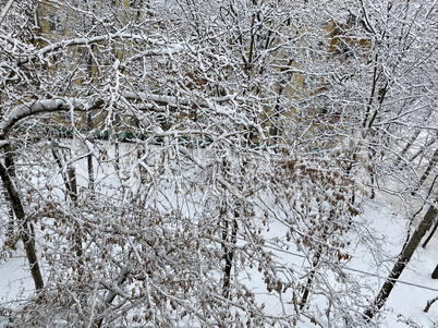 winter in city yard at cloudy day after snowfall