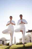 Demonstrating a perfect tree pose. Full length shot of a young couple doing yoga outdoors.