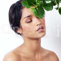 Natures gentle caress. Studio shot of an attractive young ethnic woman sitting under a branch.