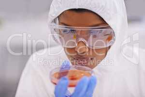 Careful observation. A young scientist in protective clothing examining a petri dish in her lab.